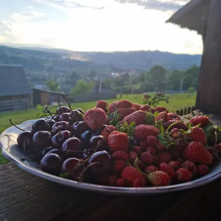 краєвид Konukevi *