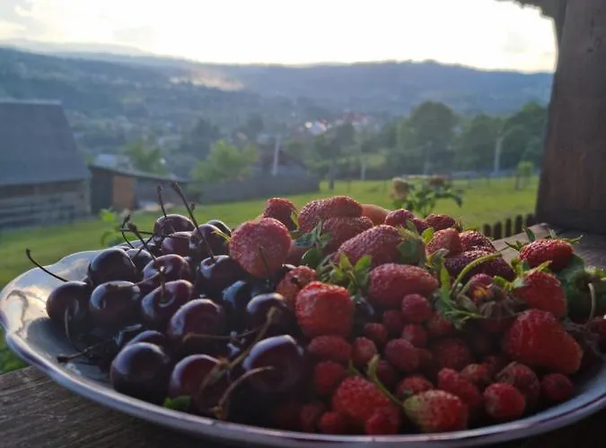 краєвид Konukevi *