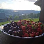 краєвид Πανσιόν *