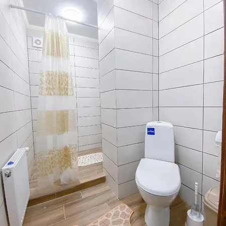 Gasthuis краєвид Vorochta